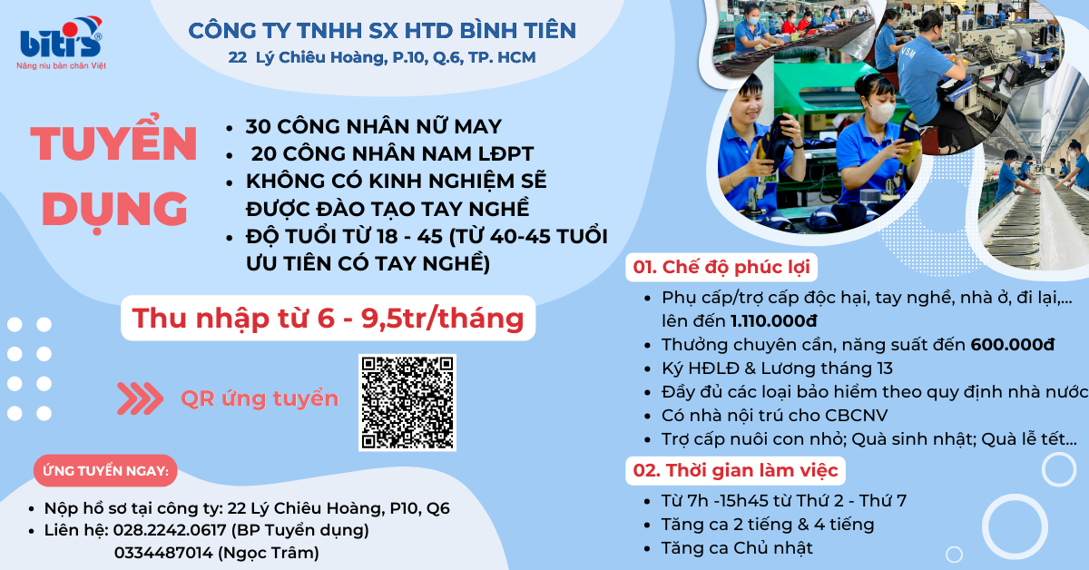 lĩnh vực hoạt động
